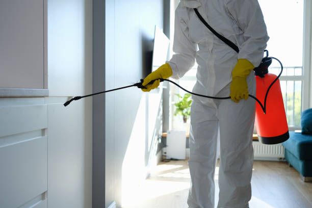 Mold Testing and Removal in Atkins, AR