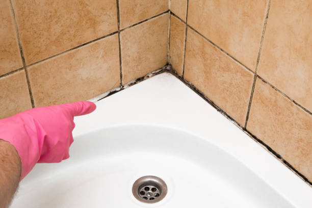 Best Affordable Mold Removal  in Atkins, AR